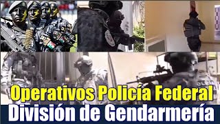 Operativos de la Policía Federal División Gendarmería [upl. by Euqinoj]