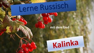 Lerne Russisch mit dem Lied quotKalinkaquot [upl. by Stephine]