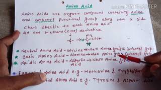 Amino acids easily explainedHindi [upl. by Severn]