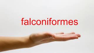 How to Pronounce falconiformes  American English [upl. by Baynebridge]