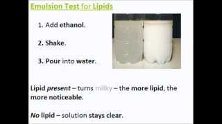 Biochemical Tests for Molecules  A Level AS Biology Revision [upl. by Refinnaj]