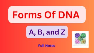 Forms of DNAA B and Z formTypes of DNAMicrobiologyBiochemistryNotes [upl. by Steven]