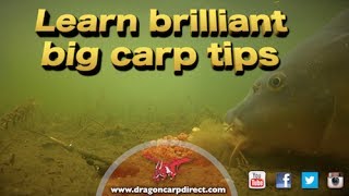 Brilliant carp tips and action [upl. by Seda91]