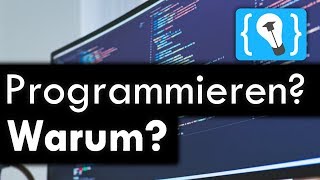 Warum sollte man Programmieren lernen [upl. by Aihsenot785]