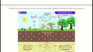 PMF IAS  Ecology and Environment  Chapter2  Part9   True IAS amp PCS [upl. by Eirrod]