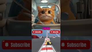 quotBrave Cats Dental Adventure A Tooth Talequot 🥰🥰 CatStory DentalAdventure funnycats [upl. by Gerrald]