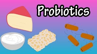 Probiotics  What Are Probiotics  Health Benefits Of Probiotics  Foods With Probiotics [upl. by Aicercal]