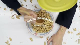 PAS TASTA  peanut phenomenon ft ピーナッツくん Music Video [upl. by Ottinger626]