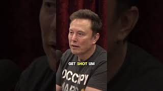 Elon Musk talks about Squirrel Thing fyp muskrevolution tesla x spacex crypto neuralink [upl. by Tocs400]