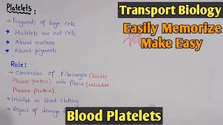 Blood Platelets  Thrombocytes  Blood Cells  Class 11 Biology [upl. by Oloap696]