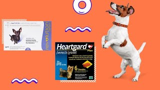 Heartgard Plus Vs Revolution – Which is the Best [upl. by Karyn]