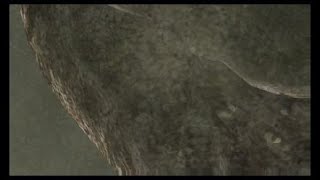 Lake Monster no damage re4 [upl. by Ahcarb]