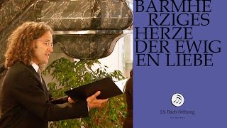 JS Bach  Aria quotBarmherziges Herze der ewigen Liebequot from Cantata BWV 185 [upl. by Taite]