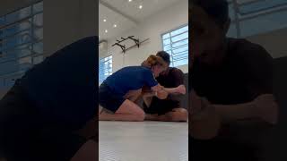 Leglock Entry from Butterfly Guard [upl. by Fadil]