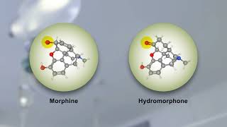 Morphine and Hydromorphone Effects Side Effects and Variability [upl. by Moskow744]