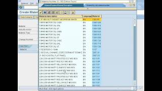 how to run SAP Easy Accessflv [upl. by Zennas]