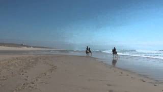 22 Mai 2011  Mimizan les Landes  dernier galop sur la plage avec les 3 blanches [upl. by Posehn]