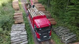 SCANIA R660 V8 NEXTGEN TIMBER TRUCK MHS [upl. by Semadar]