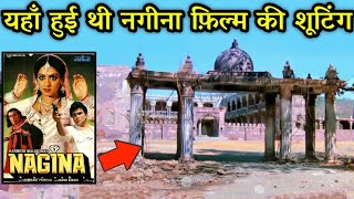 Nagina full movie shooting location  Rishi Kapoor Sridevi  नगीना फ़िल्म शूटिंग लोकेशन [upl. by Epilef]