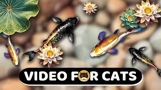 CAT GAMES  Relaxing Koi Fish Pond Videos for Cats  CAT TV  1 Hour [upl. by Yekram461]