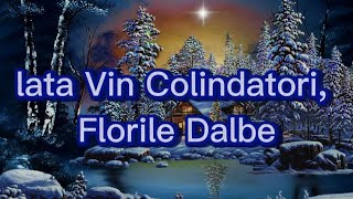 lata Vin Colindatori Florile Dalbe VersuriLyrics Video [upl. by Seidnac291]