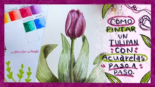 Como pintar tulipanes en acuarela paso a paso Flores para principiantes Acuarela con Abi BOTANICA [upl. by Anitac]