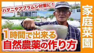 ハダニやアブラムシを撃退！1時間で自然農薬を作る方法！家庭菜園で使える害虫対策や農薬の使い方も解説【農家直伝】 1hour  How to make natural pesticides [upl. by Jemima]