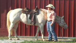 Judging how well your Western Saddle fits your horse [upl. by Filia359]