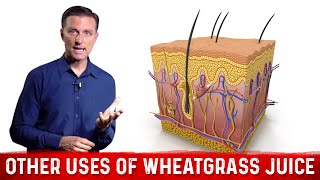 Benefits and Uses of Wheatgrass Juice Powder for Skin Problems – Dr Berg [upl. by Krilov]