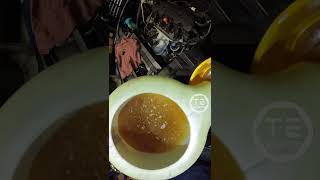 SHHH🤫 Satisfying Honda HRV Service POV🔧😗👌 honda hrv oilchange cvt pov asmr fyb tevideos [upl. by Bovill]