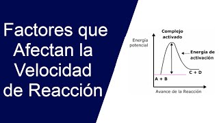 Factores que Afectan la Velocidad de Reacción [upl. by Anaitsirk]