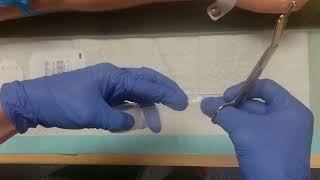 IV INSERTION USING OVERTHENEEDLE CATHETER [upl. by Releehw705]