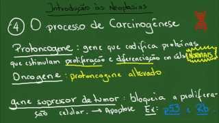 Introdução às Neoplasias  Resumo  Patologia Geral [upl. by Gomer]