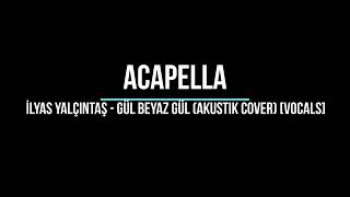 İlyas Yalçıntaş Gül Beyaz Gül Akustik Cover vocals [upl. by Nolrev]