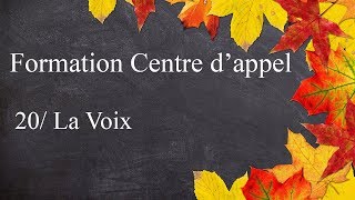 Formation Centre dAppel  20  La voix [upl. by Anirtak]