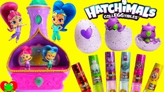 Shimmer and Shine Jewelry Box and Hatchimals CollEGGtibles [upl. by Campos]