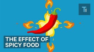 How Eating Spicy Food Affects Your Brain And Body  The Human Body [upl. by Pillsbury]