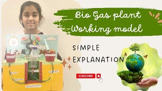 Bio Gas plant working Model simple explanation gobar gas  renewable energy [upl. by Mauve110]