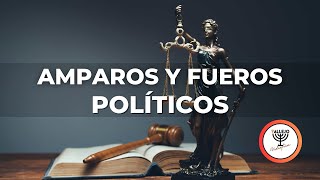 Reunión de Sábado por la Tarde  Amparos y Fueros Políticos [upl. by Anamuj]