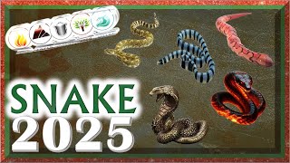 Snake Horoscope 2025  Fire Earth Metal Water Wood [upl. by Oinigih]