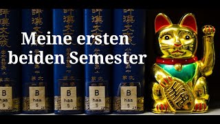 Mein Japanologie amp Koreanistik Studium Teil 2 Die ersten beiden Semester ganz privat [upl. by Eelyahs]