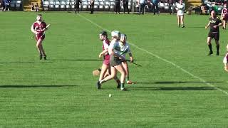 241019 Intermediate Camogie Co Final Bunclody vs Cloughbawn 1st Half [upl. by Salangia415]