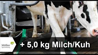 50 kg MilchKuh durch MS AutoHoofClean Klauenmatte und MelkroboterProfiTraining [upl. by Eenwat438]