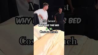 Bed cost so high bedroom bed luxury youtube viral mrbeast facts manufacturer real price [upl. by Hcra]