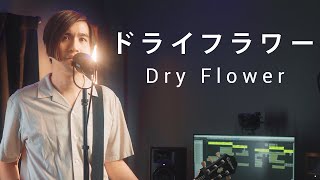 Dry Flower Japanese Ver  Yuuri cover  feat kakitmusic [upl. by Lathrop193]