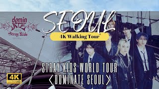 Stray Kids World Tour〈dominATE SEOUL〉스트레이키즈 공연 현장분위기 [upl. by Anaitat]