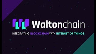 WaltonChain WTC  Fundamental Analysis [upl. by Narot]