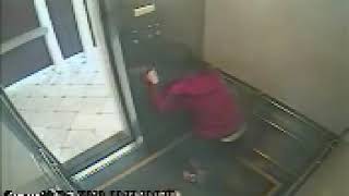 Elisa Lam Elevator Video [upl. by Berkley]