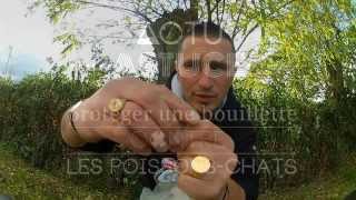 Comment protéger une bouillette contre les poissonchats [upl. by Olvan897]