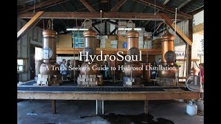 HydroSoul  A Truth Seekers Guide to Hydrosol Distillation [upl. by Nhoj]